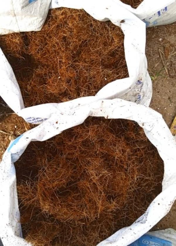  Paille De Coco Ou Fibre De Coco De Madagascar - autres nous cherchons des clients pour nos pailles de coco madagascar nous pouvons recevoir une commande de 100tonnes par semaine. prix seulement 280euro la tonne prix fob madagascar mode de paiement avec une avance sur commande de 50% et le solde sera apr&egrave;s embarquement. merci bien