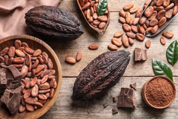  Qualité, Fiabilité, Transparence - fruits secs et graines grillées « vous recherchez des produits agricoles africains de qualit&eacute; premium ? » « bienvenue chez ivoir'acajou industries votre fournisseur direct depuis la c&ocirc;te d'ivoire. » « nous proposons le meilleur de notre terre cacao riche et aromatique caf&eacute; raffin&eacute; noix de cajou 