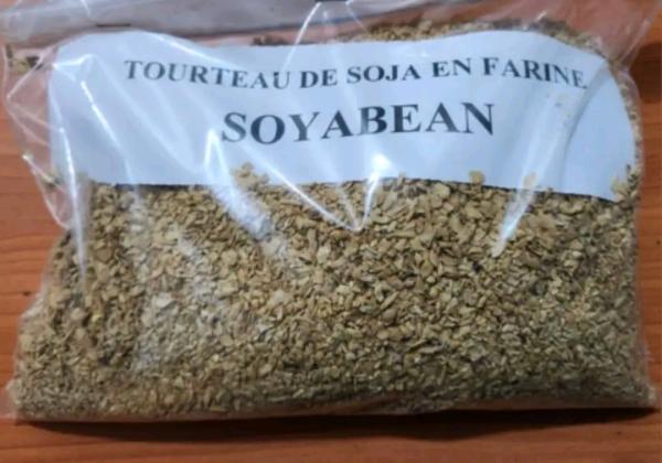  Soybean Meal - cereals *dear potential customers*----are you considering importing conventional soybean meal from benin (cotonou)? do you want to conquer your local market with a unique and exceptionally high-quality product for the 2025 harvest?----then you're on the right track and making the right choice by partnering 