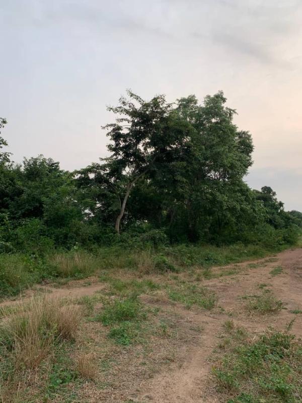  70 Hectares Agricoles Vendre Kpalimé - mine terrain concession des *hectares de terrain &agrave; vendre* *lom&eacute; kpalim&eacute; amoussoukop&eacute;* plus de 70 hectares &agrave; vendre &agrave; amoussoukop&eacute; &agrave; 3 km et quelques du goudron avec un acc&egrave;s tr&egrave;s tr&egrave;s facile au goudron np tr&egrave;s accessible au v&eacut