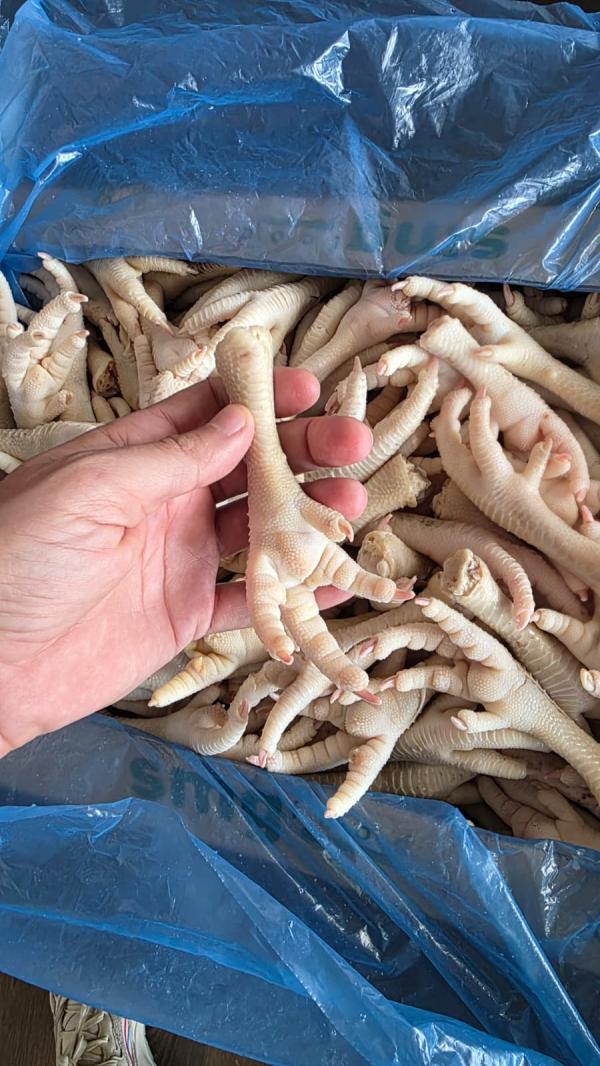  Heavy Hen Feet - meat and eggs avrg 40 gr each pcs. 10 kg bulk carton. 25 26 mt in 40ft. turkish origin. prompt shipment.  