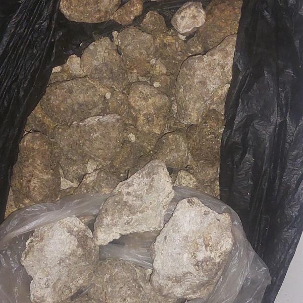  Ambre Gris - autres nous proposons un lot d'ambre gris naturel de haute qualit&eacute; provenant directement du littoral tunisien. le produit est de l'ambre gris 100 % naturel provenant de la plage non issu de la chasse &agrave; la baleine et est pret &agrave; etre export&eacute; vers les parfumeurs et les acheteurs