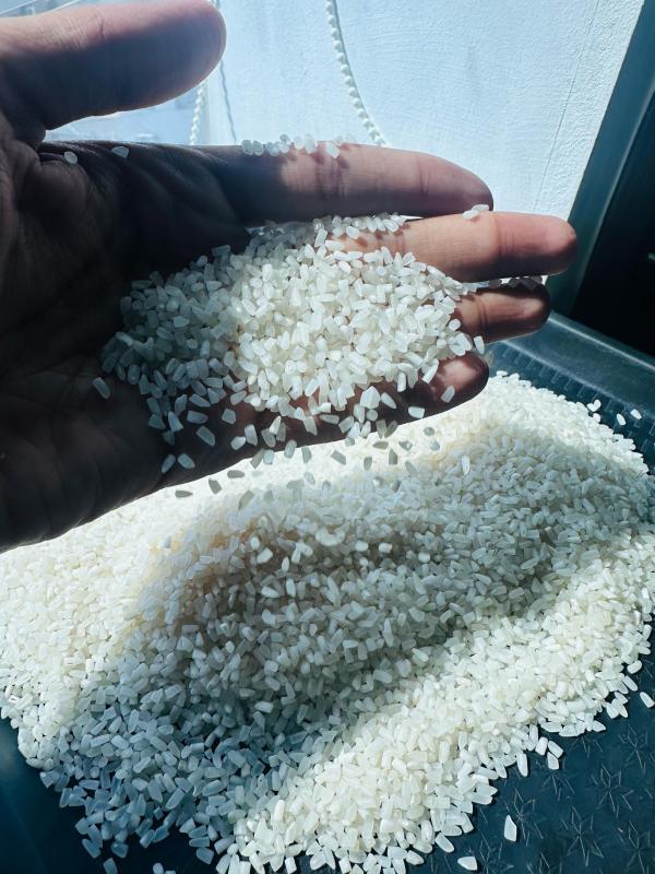  Riz De Pakistan - féculents riz blanc 100% brisure 1º classe.  en sac de 25kg/50kg. --origine- pakistán--quantité- ouverte--prix- 399€/tonne
