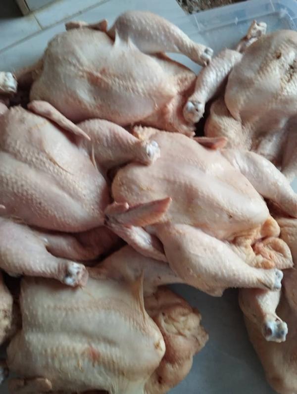  Pollo Speed - autres entreprise bas&eacute;e en c&ocirc;te d'ivoire exer&ccedil;ant dans la production et la vente de poulet de chaire pondeuses oeufs coquelet. nous sommes en mesure de vous fournir quelques soit la qualit&eacute; partout en c&ocirc;te d'ivoire. veuillez nous contacter pour une future collaboration 