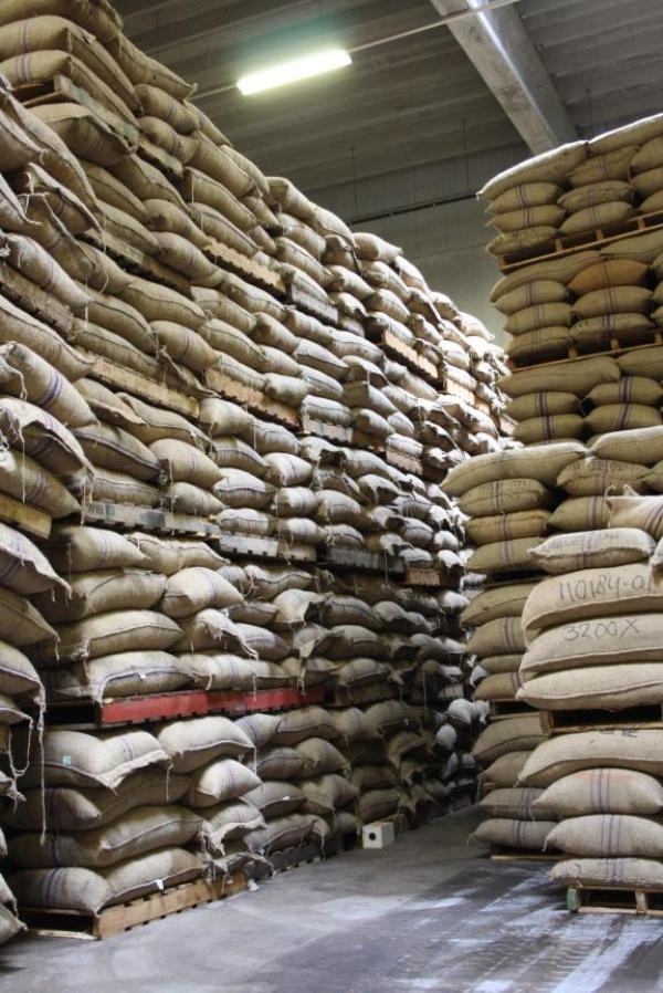  Cocoa For Sell From Cameroon - coffee cocoa tea we are a company in cameroon selling cocoa worldwide.interested in buying from us contact for more information 
