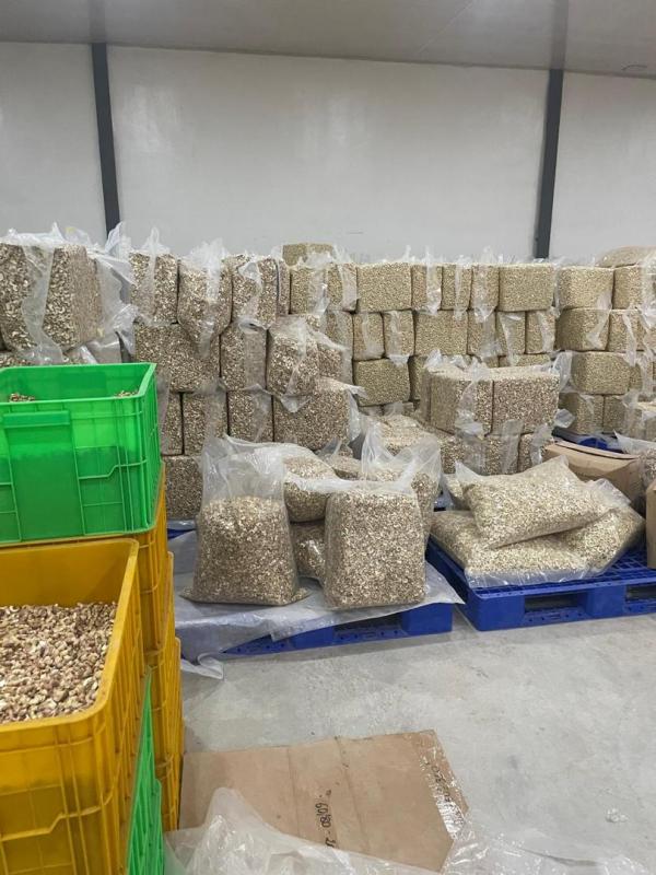  Noix De Cajou, Amandes Et Coques - fruits secs et graines grillées . nous mettons &agrave; votre disposition des noix de cajou de tr&egrave;s bonne qualit&eacute; conditionn&eacute;e aux normes d exportation requis depuis le premier pays producteur qui et la c&ocirc;te d'ivoire. vous pourrez avoir acc&egrave;s &agrave; divers vari&eacute;t&eacute;s de no