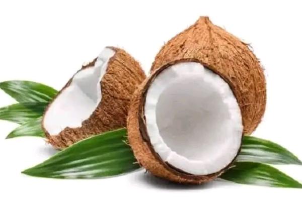  Purchase Of Dried Husk Coconut - roasted seeds and nuts we are looking for long term relationship with any seller of dried whole coconut who is capable of producing not less than 100 000 nuts in a month.
