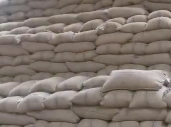  Noix De Cajou Disponibles !!! - fruits secs et graines grillées noix de cajou (rcn) disponibles !--crop - 2025--qualité - kor 46+ (outturn 46 lbs +)--humidité - 8% max--incoterm - fob--quantité - environ 10 000 tonnes--noix bien séchées,  pretes pour l'export !