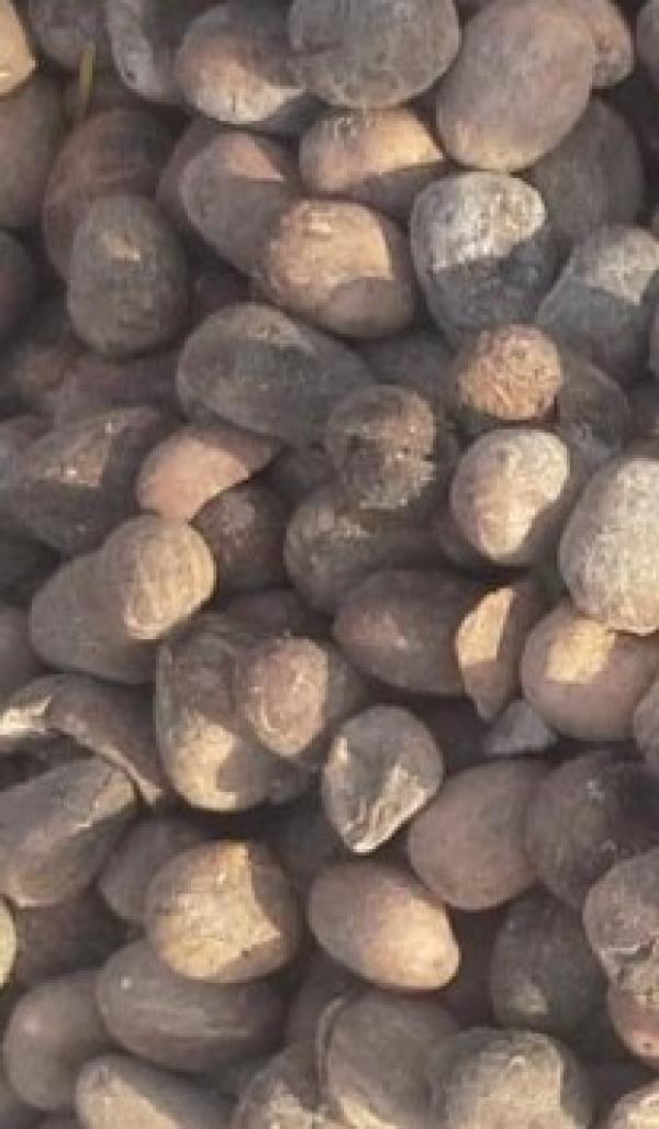  Vente Des Amendes De Karité Et Beurre Karité - autres nous avions des grandes quantit&eacute;s d'amendes de karit&eacute; de tr&egrave;s bonne qualit&eacute; et le beurre de karit&eacute; de tr&egrave;s bonne qualit&eacute; &agrave; vendre. nous pouvons vous livrer partout dans le monde. prenez contact avec nous pour vos besoins d'amende de karit&eacut
