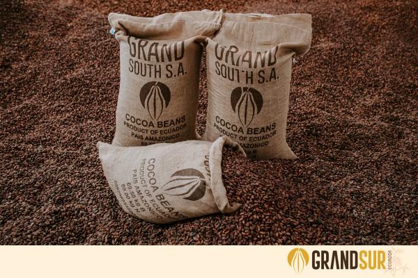  Fèves De Cacao, Pariche, Beurre, Poudre Alcan - café cacao thé . nous avons plusieurs tonnes de f&egrave;ves de cacao beurre de cacao poudre alcanis&eacute;e et non alcanis&eacute;e de cacao coque de cacao sont stock&eacute;s dans nos entrep&ocirc;ts &agrave; abidjan et san pedro et n attendent que vous l embarquement. nos produits sont de qua