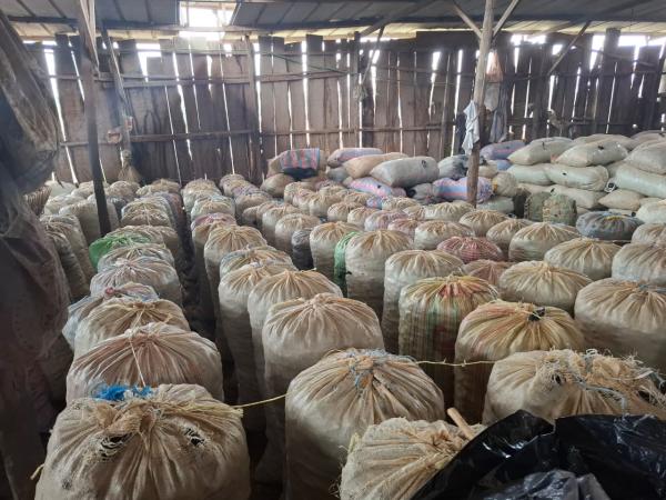  Stock De Colas En Cote D'ivoire - fruits secs et graines grillées nous disposons d'un stock de colas en c&ocirc;te d'ivoire. nous pouvons vous fournir un container par mois sur 12 mois les prix sont tr&egrave;s comp&eacute;titifs. nos grands clients sont le mali le burkina et nigeria. nous exportons sur l'europe et maroc le produit sera reconditionn&eacute; dan