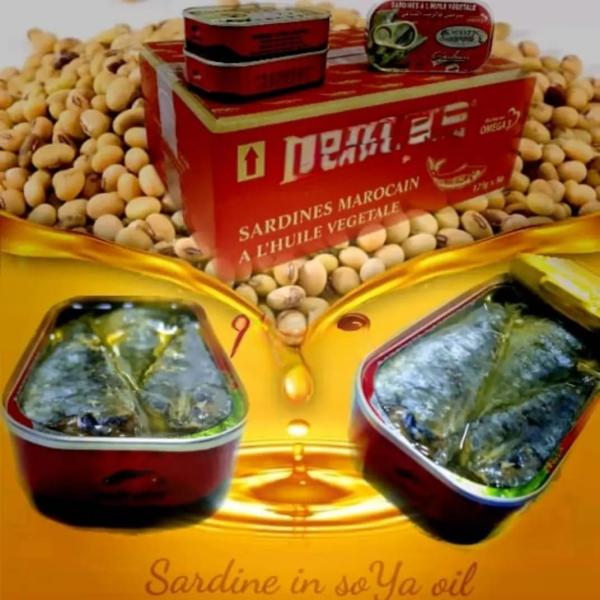  Conserves De Sardines - poissons conserves de sardines &agrave; l huile v&eacute;g&eacute;tale can 125g 50 boites par carton 3250 cartons par conteneur moq 1 conteneur 20 pieds destination afrique