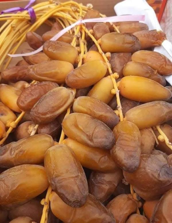  Dattes Tunisiennes - fruits and vegetables we are pleased to announce that our new season of top quality tunisian deglet nour dates will soon be available. our dates are carefully selected to meet the highest international standards in terms of quality taste and packaging ensuring they meet the expectations of the most demanding market