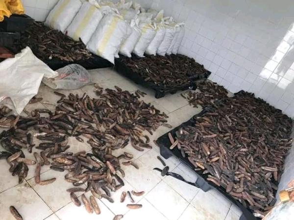  Des Produits Vendre Cocombre De Mer De Mada - autres je voudrais vendre mes produits de mer &agrave; un prix abordable et c'est &agrave; d&eacute;battre. merci &agrave; vous tous 