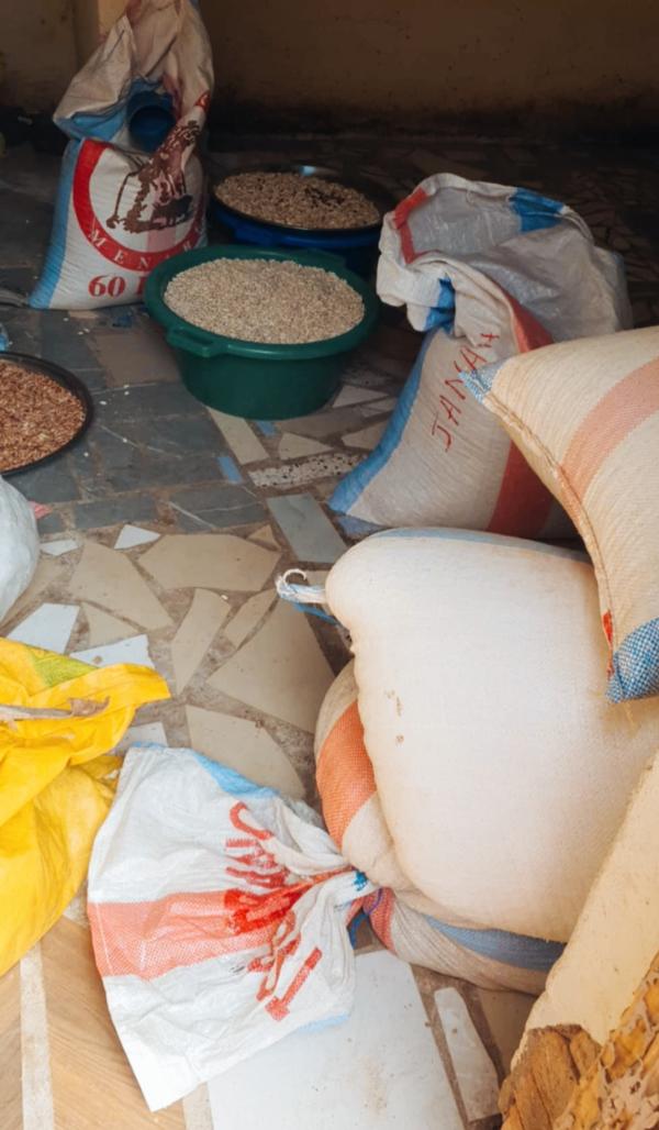  Producteur Propose Les Légumes Secs De Mada - fruits et légumes producteur madagascar propose légumes secs de qualité en tonnage élevé pour le marché réunionnais----madagascar,  réputée pour la qualité exceptionnelle de ses terroirs,  vous propose une sélection premium de légumes secs cul