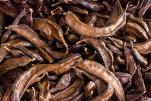  Carob Haut Qualité - fruits secs et graines grillées je vente de carob haute qualit&eacute; avec possibilit&eacute; d’exportation partout dans le monde avec des petites et grandes quantit&eacute;s 