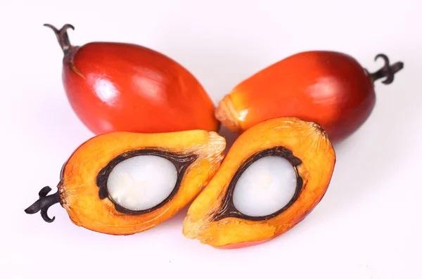  Recherche De Fournisseur De Noix De Palmiste - fruits secs et graines grillées recherche de fournisseur de noix de palmiste. quantit&eacute; souhait&eacute;e minimum 35 &agrave; 40 tonnes. moins de 2 5 mois de conservation des noix.