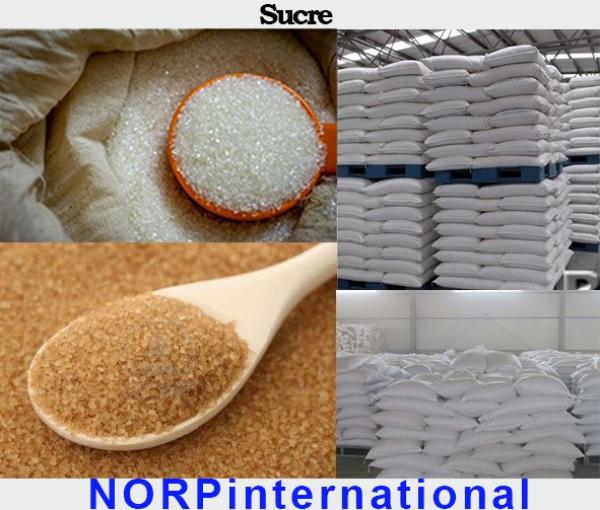  Recherche Fournisseurs De Sucre Opportunité - produits sucrés nous avons une page sponsoris&eacute;e actuellement. nous sommes &agrave; la recherche urgente de fournisseurs fiables de sucre pour des partenariats durables. produits recherch&eacute;s sucre br&eacute;silien sucre blanc brun icumsa 45 (qualit&eacute; premium) icumsa 100 150 200 ic