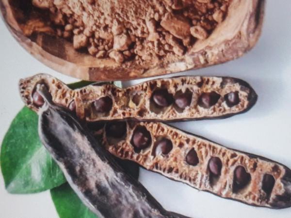  Vente De Légumineuses - fruits et légumes le caroubier est le fruit d'un arbre &agrave; feuilles persistantes appartenant &agrave; la famille des l&eacute;gumineuses et originaire du bassin m&eacute;diterran&eacute;en [1 2]. il est connu pour ses gousses brun fonc&eacute; contenant une pulpe sucr&eacute;e et des graines dures. il est utili