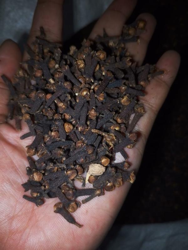  Clous De Girofle - épices aromates  la nouvelle saison de clous de girofle vient de commencer &agrave; madagascar nous pouvons fournir plusieurs container par mois les clous de girofle &eacute;tant un produit l&eacute;ger nous chargeons les containers &agrave; 11 000kg vous pouvez nous contactez pour tout renseignements co