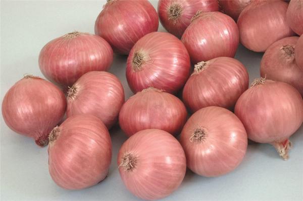  Je Vend Des Gros Oignons De Madagascar - fruits et légumes je suis un fournisseur de gros oignons de très bonnes qualité et en grande quantité en provenance de madagascar , --je cherche des clients sérieux et  intéressés par ces produits . merci--whatsapp 