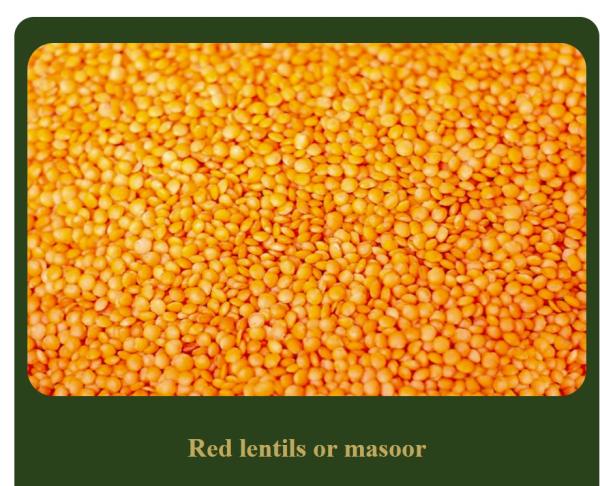  Lentils Rouge - roasted seeds and nuts *product unhusked red lentils whole* quantity 8000 mt as starter delivery cif bangladesh origin canada or australia payment lc target price $450 to $550 we need the price cif to bangladesh 1. sport 8 000 mt 2. contract 8 000 mt x 12 months total 96 000mt