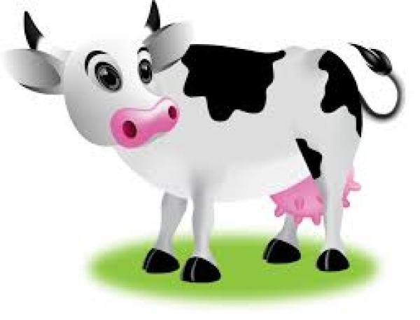  Lait En Poudre - lait et produits laitiers je dispose de lait en poudre de tr&egrave;s bonne qualit&eacute; en quantit&eacute; voulue merci de nous contacter pour de bonne et transparente affaire en des prix d&eacute;fiant toute concurrence