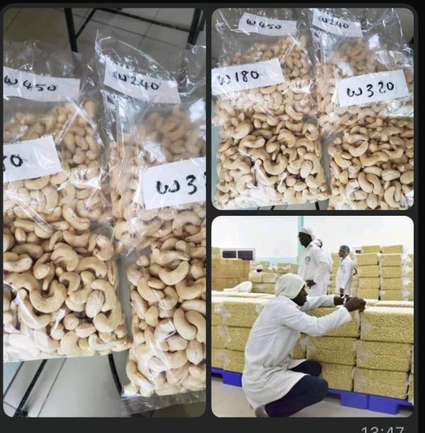  Shelled Cashew Nuts - roasted seeds and nuts shelled cashew nuts quality shelled (w 180 240 320) origin ivory coast togo and mozambique total quantity delivered 1 000 tons permitted partial delivery 100 tons per month cif price ww 180 = us$ 7 300.00 ww 240 = us$ 6 500.00 ww 320 = us$ 7 200.00 packaging description the ker