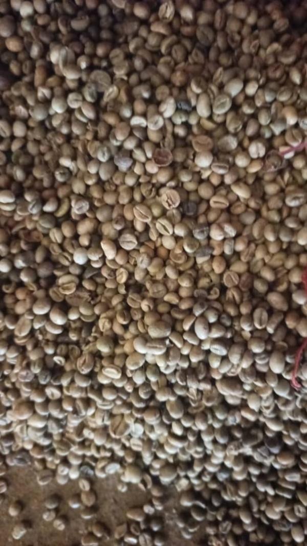  Café Robusta En Magasin Lomé - fruits secs et graines grillées bonsoir j'esp&egrave;re que vous allez bien ? nous disposons actuellement d'une grande quantit&eacute; de caf&eacute; robusta en magasin &agrave; lom&eacute; au prix de 3800 fcfa le kilo. faites votre demande. besoin d'acheteur s&eacute;rieux. merci 