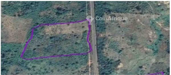  Terrain Agricole Vendre Daloa - mine terrain concession fiche de pr&eacute;sentation d'un terrain &agrave; vendre superficie totale 3 hectares 25 ares 34 centiares (3 2534 ha) localisation &agrave; 3 km de daloa sur l’axe principal daloa – vavoua bordure de la voie bitum&eacute;e &eacute;lectricit&eacute; disponible &agrave; proximit&
