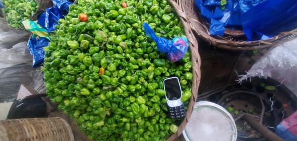  Piment Frais Vente En Gros - fruits et légumes nous mettons à votre disposition du piment frais de qualité supérieure,  soigneusement récolté et pret pour la vente en gros.---- produit - piment frais vert-- conditionnement - grand sac-- prix - 25 000 fcfa le sac-- disponibilité - quantité important