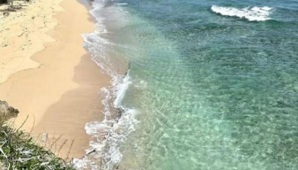  Terrain Pied Dans L eau Dakar Ngor-virage - mine terrain concession nous vous proposons à la vente un terrain de 9000m2 en titre foncier pieds dans l'eau.--un terrain rare et unique dans le quartier huppé de ngor-virage.--n'hésitez pas à me contacter pour plus d'informations. 