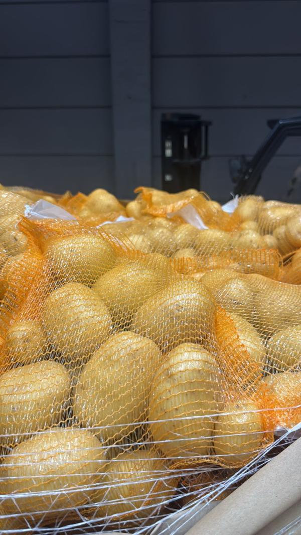  Oignons Blancs Et Pommes De Terre Très Propre - fruits et légumes nous proposons à la vente des oignons blancs et pommes de terre d’origine france,  soigneusement sélectionnés,  beaux,  propres et de qualité premium.----oignons blancs - 295 fcfa (0, 45 €) le sac de 5 kg----pommes de terre - 249 fcfa (0, 38 €) le sac de 5 kg----produits dispo