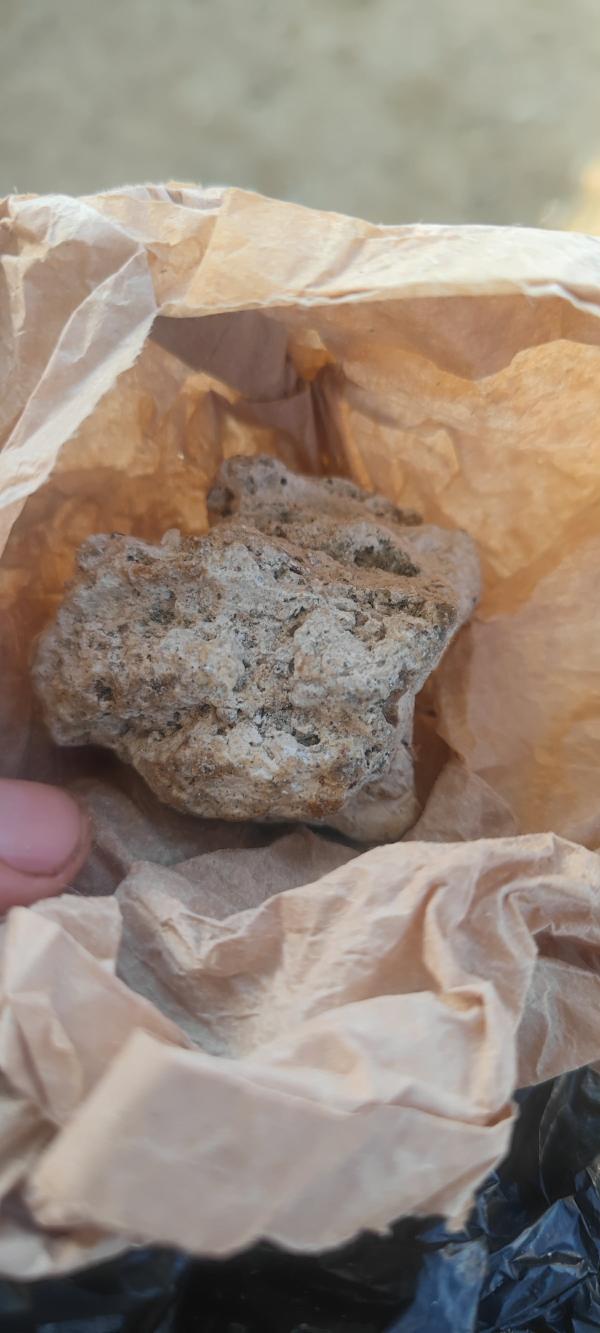  Ambre Grise - autres ambre grise trouver &agrave; la plage en alg&eacute;rie il y a 40 kg meilleure qualit&eacute; vente en alg&eacute;rie moi j'habite &agrave; paris