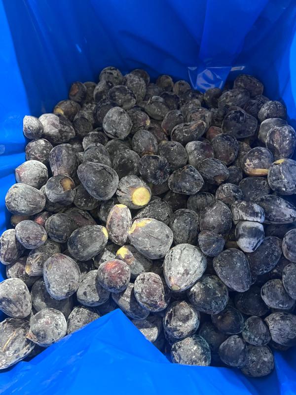  Figues Surgelé Du Maroc - fruits et légumes figues du maroc surgel&eacute;es (iqf)  go&ucirc;t intense,  texture intacte,  disponibilit&eacute; annuelle--r&eacute;colt&eacute;es &agrave; pleine maturit&eacute; dans les zones figui&egrave;res,  nos figues sont surgel&eacute;es iqf rapidement apr&egrave;s tri pour pr&eacute;server couleur,  ar&ocir