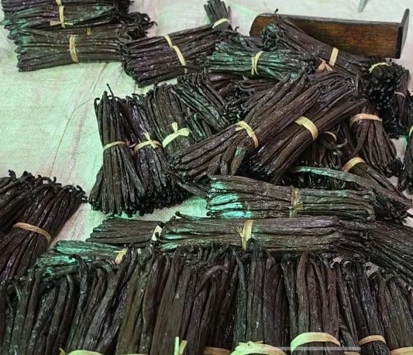  Looking For Vanilla Customers - aromatic spices the official export date will be released soon. we want to let you know that we have all the qualities of organic vanilla from madagascar such as bourbon and mpompona vanilla as well as other qualities. 