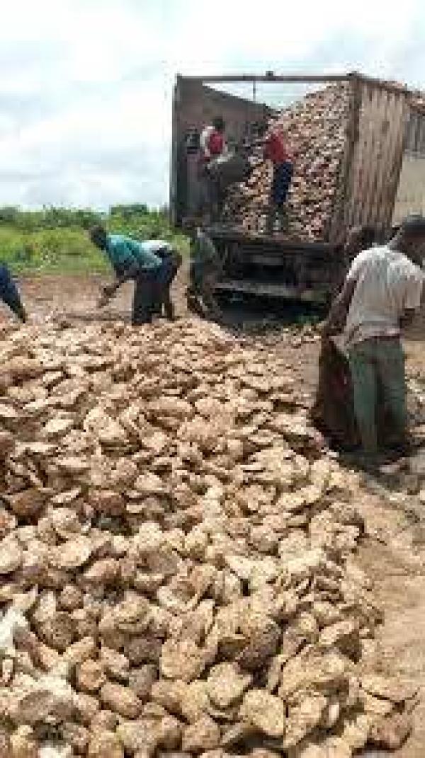  Sourcing Fiable De Produits Tropicaux De Quaé - café cacao thé l achat de produits tropicaux tels que le cacao le caf&eacute; et l hevea repr&eacute;sente bien plus qu'une simple transaction commercial. c est un secteur strat&eacute;gique qui fait vivre des millions de producteurs et occupe une place centrale dans l &eacute;conomie mondiale. ces fili&egrave;re