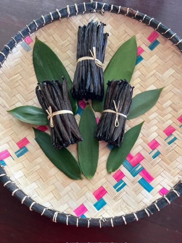  Vente De Vanille Bio De Nosy-be Madagascar - épices aromates bonjour à tous, ----je suis à la recherche de clients et/ou de partenaires sérieux pour vendre des vanilles bio de nosy-be madagascar et provenant directement de ma plantation personnelle.