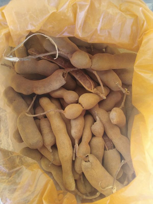  Tamarin Avec Coque De Bonne Qualité - fruits et légumes nous disposons de tamarin avec coque de bonne qualité avec prix defit toute concurrence 1500ar le kg si vous etes intéressé n'hésitez pas à nous contactez 