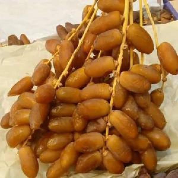  Dattes Premium Deglet Nour Tunisienne - fruits et légumes cher partenaires. nous avons le plaisir d annoncer que notre nouvelle saison de dattes tunisiennes deglet nour de premi&egrave;re qualit&eacute; est d&eacute;j&agrave; disponible. nos dattes sont soigneusement s&eacute;lectionn&eacute;es afin de r&eacute;pondre aux normes internationales les plus