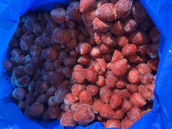  Fraise Fraiche Et Surgele - fruits et légumes fraises   origine maroc disponibilit&eacute; imm&eacute;diate approvisionnement assur&eacute; nous pouvons vous fournir des fraises surgel&eacute;es iqf (et fra&icirc;ches en saison) issues des bassins du gharb & larache   maroc avec tra&ccedil;abilit&eacute; compl&egrave;te et documents qualit&e