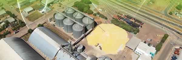  Vente En Gros Soja, Maïs.riz.....exc - autres  nous sommes une soci&eacute;t&eacute; br&eacute;silienne sp&eacute;cialis&eacute;e dansl la production et l'exportation des produits agricoles maïs soja riz viande rouge et blanc. veaux vaches (nord sud) porc  vivants poulets (grade a b c) on peux fournir 100000