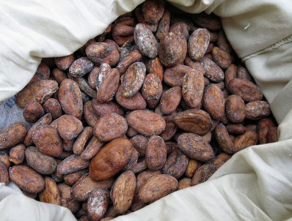  Fèves De Cacao Et Café Vert De Madagascar - café cacao thé - société -  (genève,  suisse)--- secteur - négoce agroalimentaire – sourcing direct madagascar--- produits proposés - grains de café vert non torréfiés & fèves de cacao premium-- est une société de négoce basé