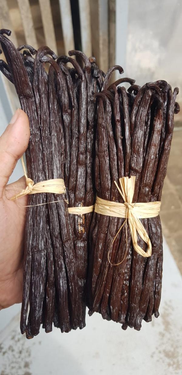  Revendeur Vanille Bourbon De Madagascar - épices aromates la vanille bourbon de madagascar est l'une de meilleurs vanille du monde.nous vous offrons les meilleurs qualit&eacute;s de vanille . l'atouts d'en acheter avec nous c'est que le frais d'exp&eacute;dition est d&eacute;j&agrave; compris aussi. veuillez nous contacter sur whatsapp 