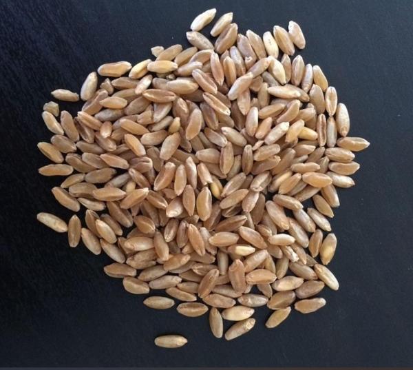  Ble Sous Douane Disponible Dakar - céréales bonjour, --nous avons 15 000 tonnes de blé importé sous douane disponible à dakar.--prix de la tonne 230 000 f cfa.--quantité minimum- 2 000 tonnes
