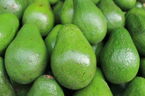  Huiles De Palme Ananas Mangue Avocat Banane - fruits et légumes nous sommes une coopératif qui dispose des huiles de palme ananas mangue avocat banane et nous recherchons des acheteurs sérieux pour la vente 