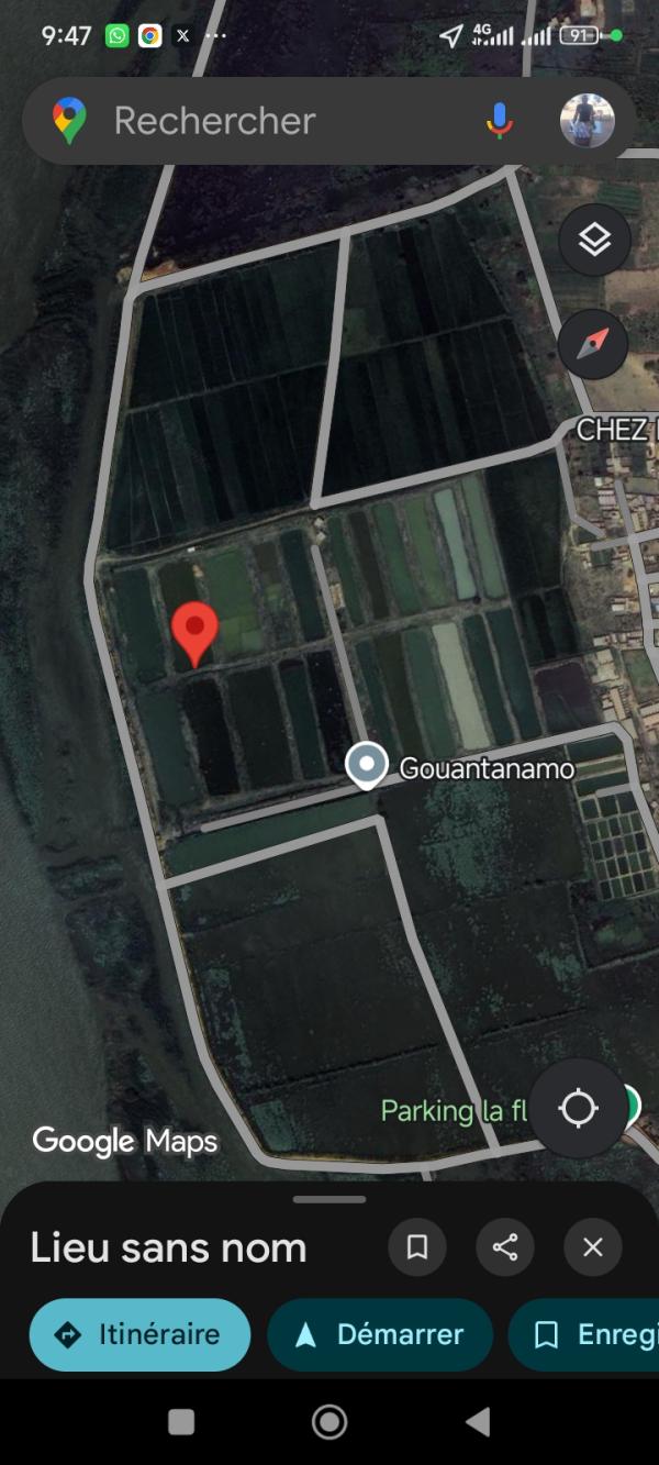  Mise En Location D'une Ferme Pisciculture - poissons nous mettons en location une ferme pisciculture au bord du fleuve superficie 25 hectares sise &agrave; niamey (niger). avec les &eacute;quipements et domaines.