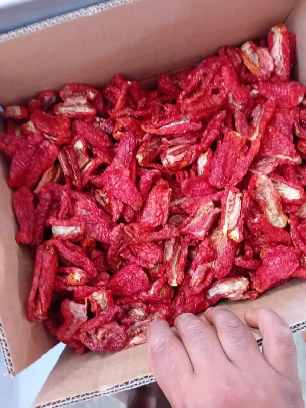  Tomates Séchées Nouvelle Saison - fruits et légumes nous avons le plaisir de vous proposer nos tomates séchées de haute qualité,  issues de la récolte 2025 et séchées naturellement au soleil.---- disponibles en -----emballage carton 10 kg (vrac)----version marinée prete à l’emploi----nous garanti
