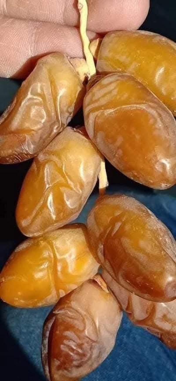  Trouver Des Partenaires Pour Reconstruire - fruits et légumes je souhaite de retrouver rapidement des partenaires .des sociétés qui peut m aider dans la domaine des dattes enour en tunisie ..