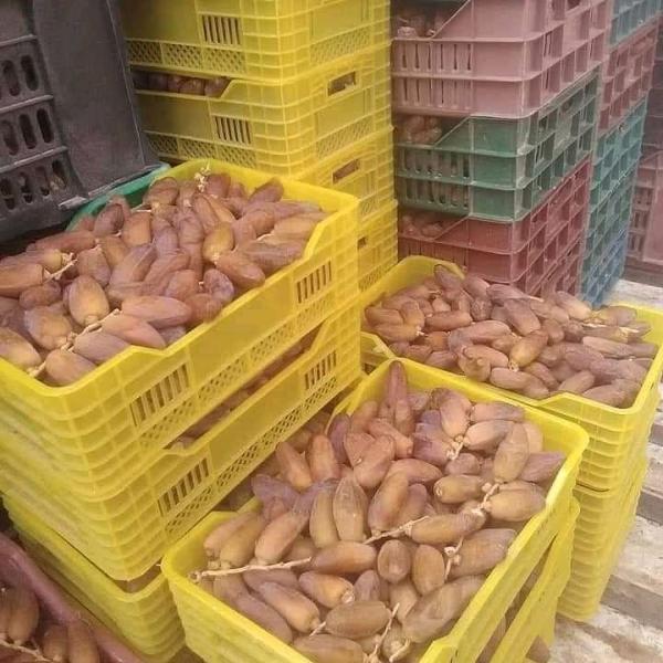  Vente Dattes Deglet Enour - fruits et légumes j ai tous les types des dattes tunisiennes premi&egrave;re choix.. deuxi&egrave;me choix ..s&egrave;che et demi s&egrave;che..
